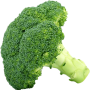 Cavolo broccolo Marathon